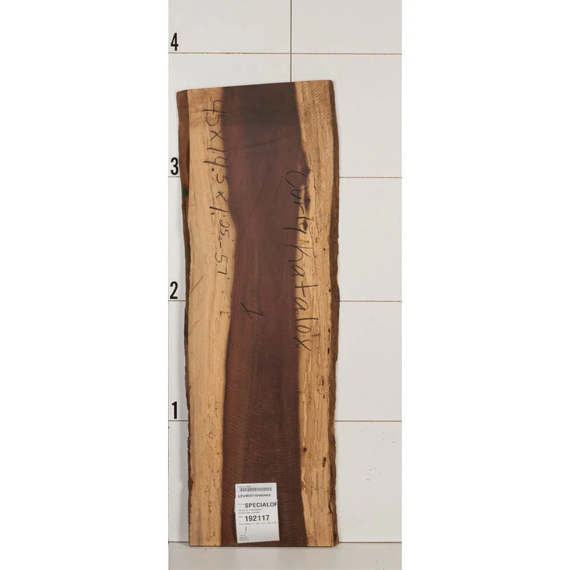 Curly Katalox Wood Slab - Thickness:1-1/4" - Width:14-1/2" - Length:45"